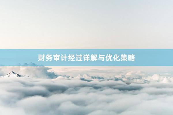 财务审计经过详解与优化策略